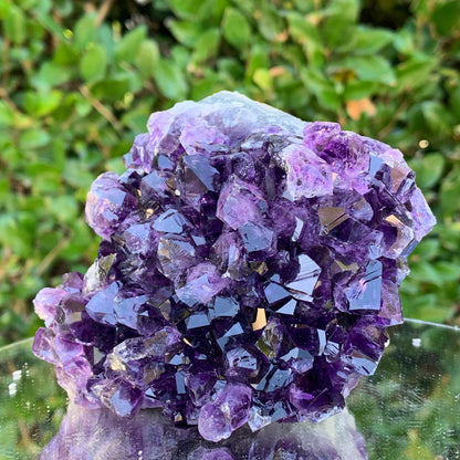 826g 10x10x10cm Purple Amethyst Cluster Cut Base from Uruguay