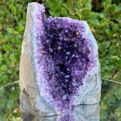866g 12x11x9cm Purple Amethyst Cluster from Uruguay