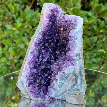 866g 12x11x9cm Purple Amethyst Cluster from Uruguay