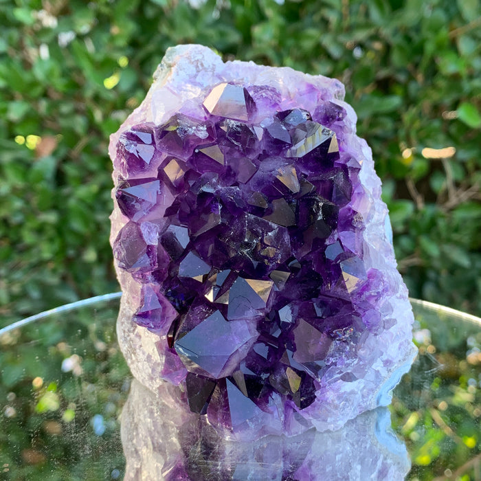 890g 11x8x7cm Purple Amethyst Cluster Cutbase Grade A from Uruguay
