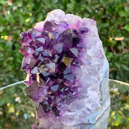 890g 11x8x7cm Purple Amethyst Cluster Cutbase Grade A from Uruguay