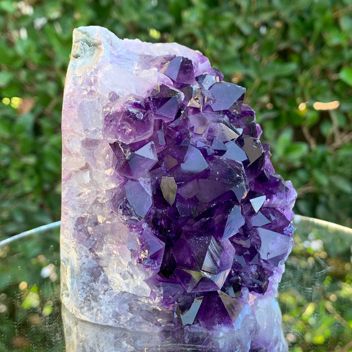 890g 11x8x7cm Purple Amethyst Cluster Cutbase Grade A from Uruguay