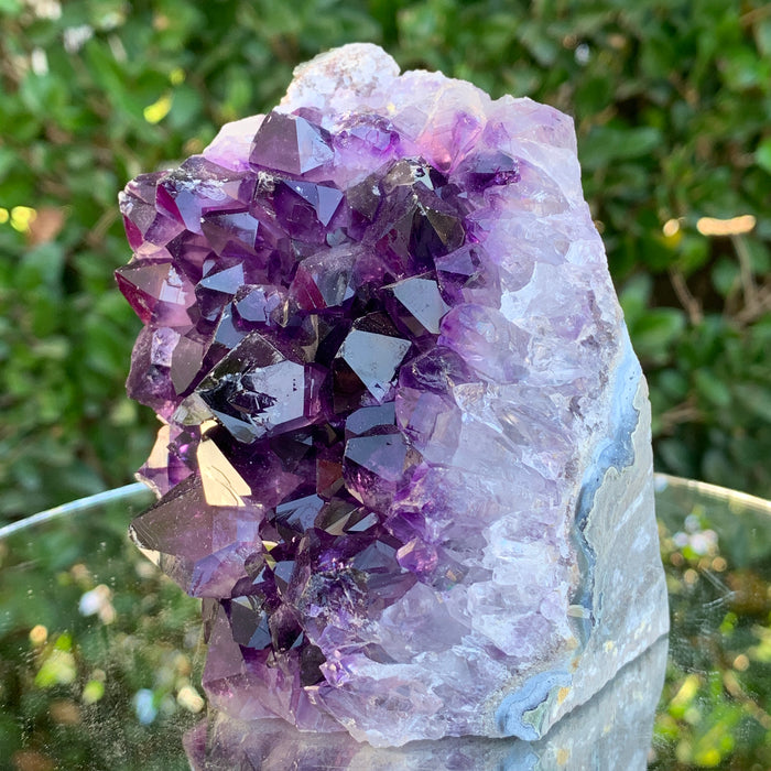 890g 11x8x7cm Purple Amethyst Cluster Cutbase Grade A from Uruguay