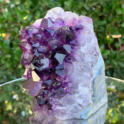 890g 11x8x7cm Purple Amethyst Cluster Cutbase Grade A from Uruguay