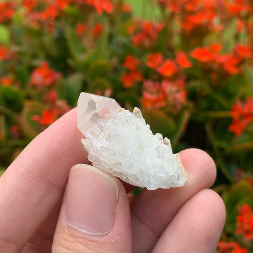 8g 4x2x2cm White Pineapple Quartz from Madagascar