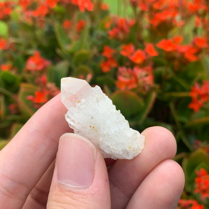8g 4x2x2cm White Pineapple Quartz from Madagascar