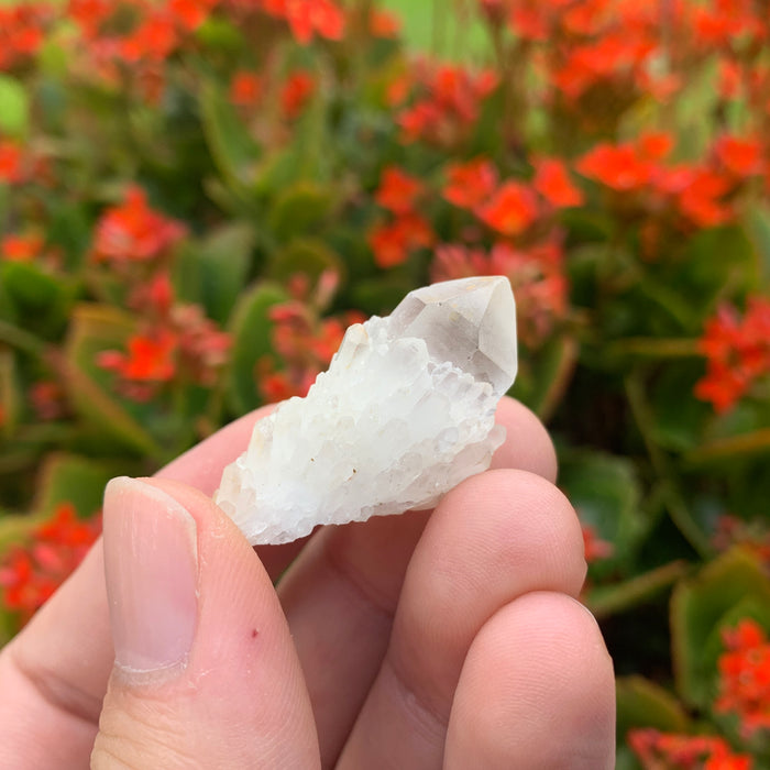 8g 4x2x2cm White Pineapple Quartz from Madagascar