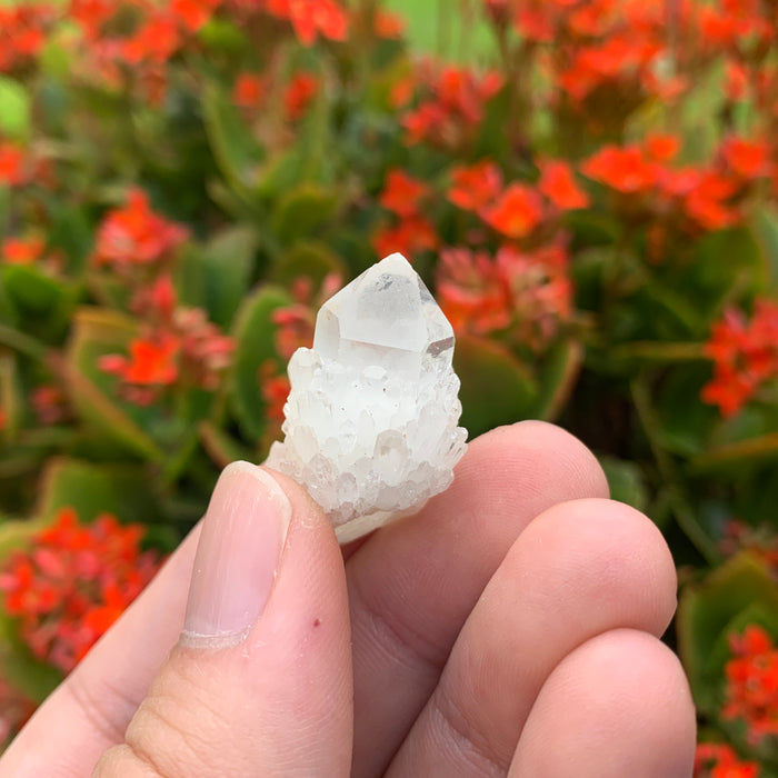 8g 4x2x2cm White Pineapple Quartz from Madagascar