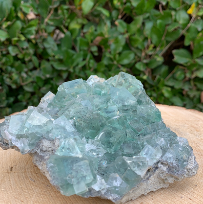 920g 14x14x7cm Clear Yaogangxian Fluorite from China