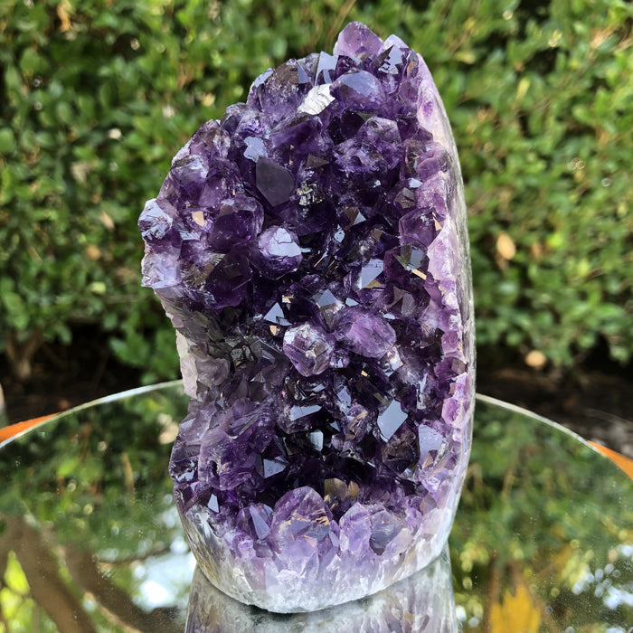922g 12x7x7cm Purple Amethyst Geode from Uruguay