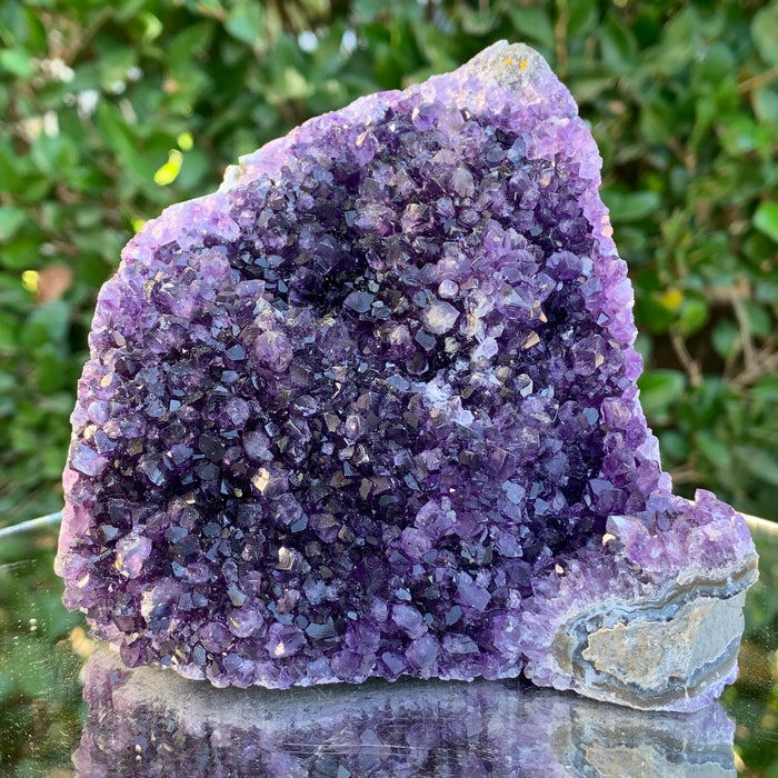 938g 10x9x9cm Purple Amethyst Cluster Cutbase Grade A from Uruguay