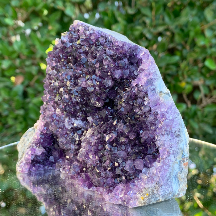 938g 10x9x9cm Purple Amethyst Cluster Cutbase Grade A from Uruguay