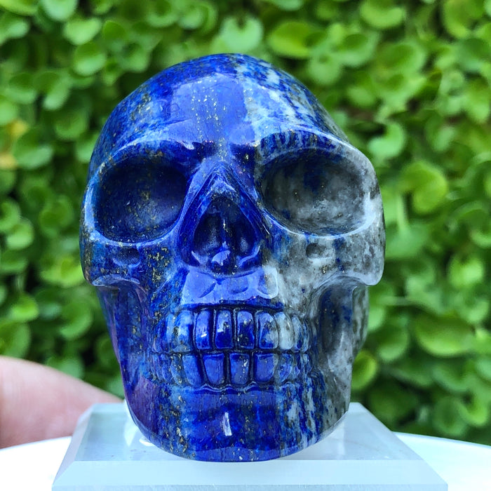 Blue Lapis Lazuli Skull