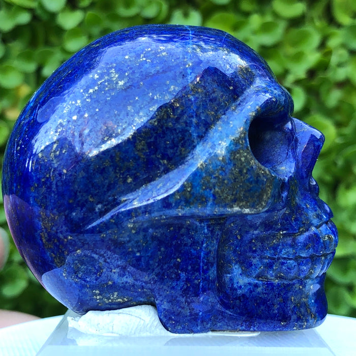 Blue Lapis Lazuli Skull