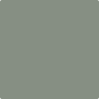 Shop the paint color 2138-40 Carolina Gull by Benjamin Moore at Anderson Paint Company in Ann Arbor, Michigan.