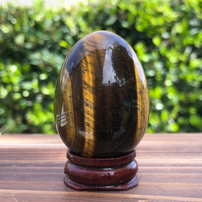 Gold Tigereye Egg