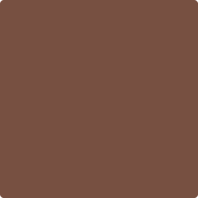 Shop the paint color 2100-20 Leather Saddle Brown by Benjamin Moore at Anderson Paint Company in Ann Arbor, Michigan.