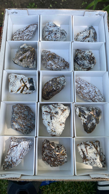 One Piece Small Shiny Gold Astrophyllite from Russia