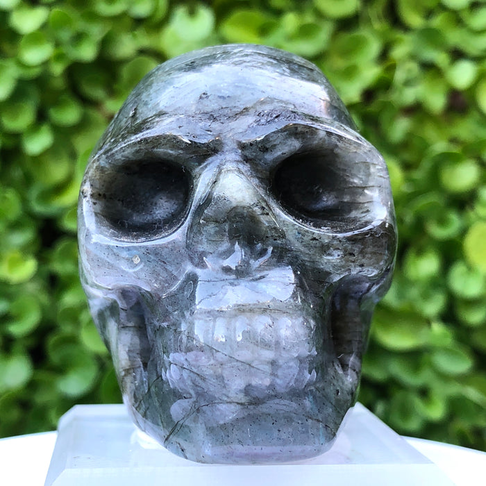 Rainbow Labradorite Skull