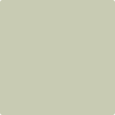 Shop the paint color 2144-40 Soft Fern by Benjamin Moore at Anderson Paint Company in Ann Arbor, Michigan.