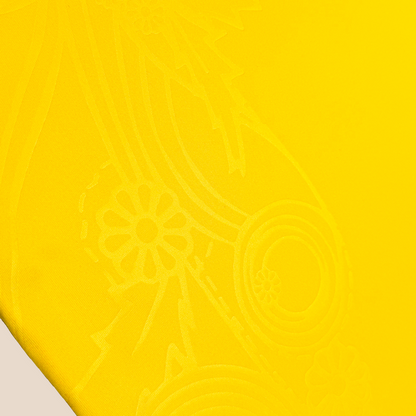 Suecia 2026 Local - Express